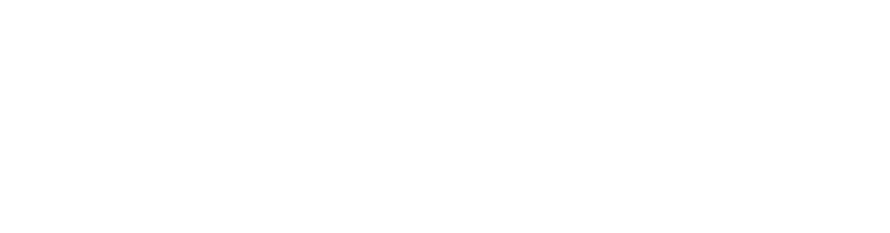AIA Logo